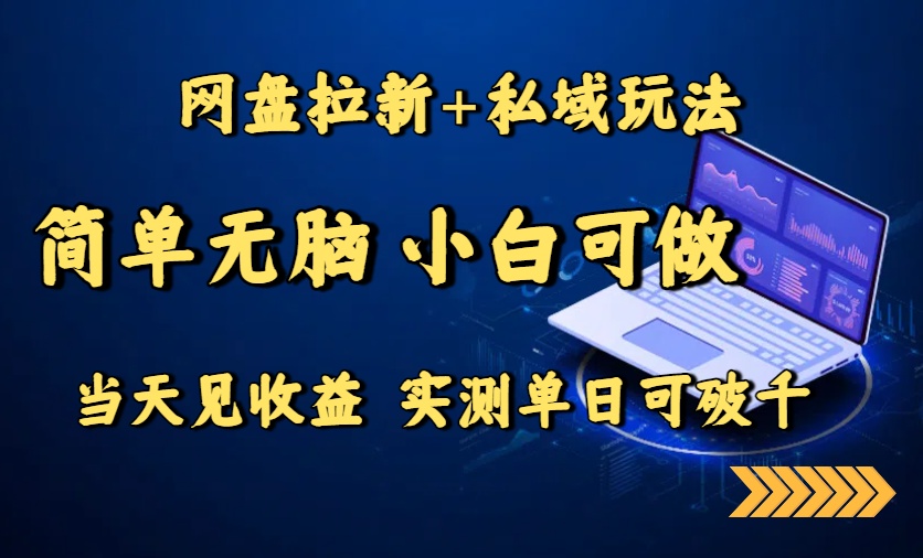 网盘拉新+私域玩法，简单无脑，小白可做，当天见收益，实测单日可破千-七七项目网