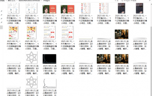 『高端精品』最新公主号无水印下载工具,图片 视频 音频 无脑小白一键下载-七七项目网
