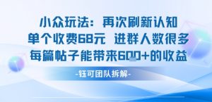 小众玩法再次刷新认知单个收费68米进群人数很多每篇帖子能带来6张的收益-七七项目网