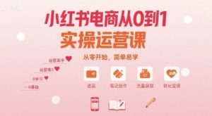小红书电商从0到1实操运营课，从零开始，简单易学-七七项目网