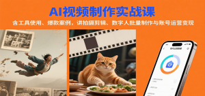 AI视频制作实战：含工具使用、爆款案例，讲拍摄剪辑、数字人批量制作与账号运营变现-七七项目网