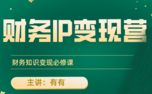 有有老师·财务IP变现营,财务知识变现必修课-七七项目网