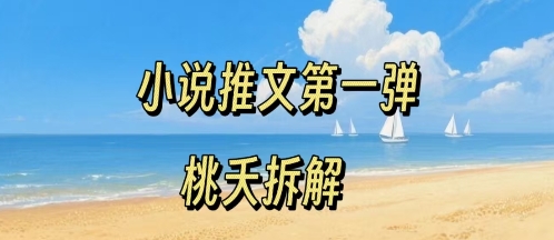 小说推文项目操作全流程第一弹，0粉就能做，门槛低非常适合新手-七七项目网