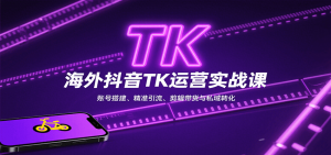 海外抖音TK运营实战课:账号搭建、精准引流、剪辑带货与私域转化-七七项目网