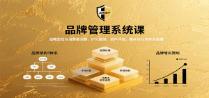 品牌管理系统课:战略定位与消费者洞察,DTC案例、资产评估,增长与公关体系搭建-七七项目网