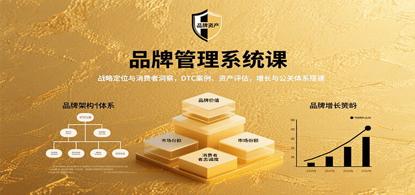 品牌管理系统课：战略定位与消费者洞察，DTC案例、资产评估，增长与公关体系搭建-七七项目网