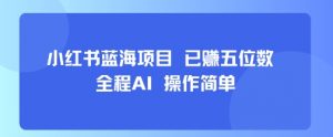 小红书蓝海项目，全程AI，操作简单，已挣五位数-七七项目网