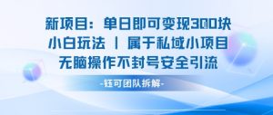 新项目单日即可变现3张的小白玩法无脑操作不封号安全引流-七七项目网