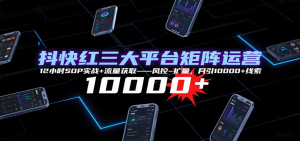 抖快红三大平台矩阵运营,12小时SOP实战+流量获取-风控-扩量,月引10000+线索-七七项目网