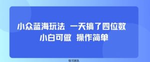 小众蓝海玩法 一天搞了四位数 小白可做 操作简单-七七项目网