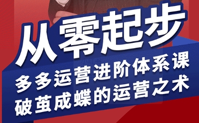 拼多多运营进阶系统课，从零起步，多多运营进阶体系课，破茧成蝶的运营之术-七七项目网