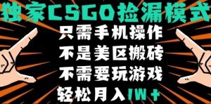 CSGO自动捡漏项目,最新独家玩法,不是美区搬砖,不需要了解和玩游戏,新手小白轻松月入1W+【揭秘】-七七项目网