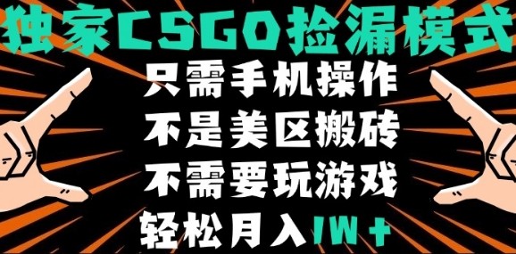 CSGO自动捡漏项目,最新独家玩法,不是美区搬砖,不需要了解和玩游戏,新手小白轻松月入1W+【揭秘】-七七项目网