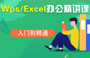 夏老师·WPS Excel办公(精讲课)-七七项目网