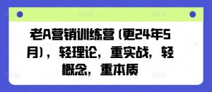 老A营销训练营(更25年8月),轻理论,重实战,轻概念,重本质-七七项目网