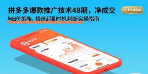 拼多多爆款推广技术48期,净成交与出价策略,极速起量时机判断实操指南-七七项目网