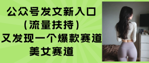 公众号发文新入口(流量扶持-七七项目网