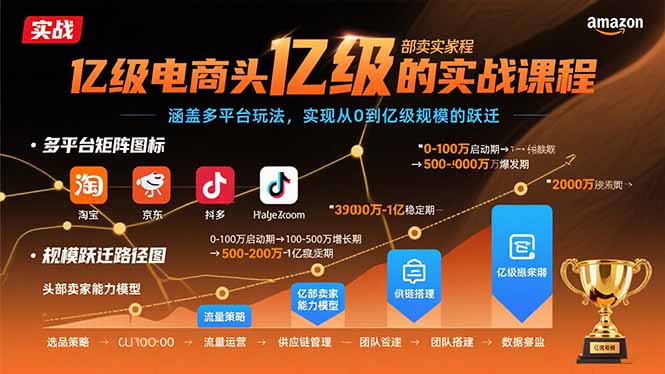 亿级电商头部卖家的实战课程：涵盖多平台玩法，实现从0到亿级规模的跃迁-七七项目网