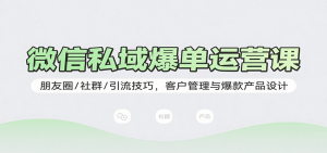 微信私域爆单运营课:朋友圈/社群/引流技巧,客户管理与爆款产品设计-七七项目网