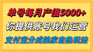 单月产值5000+,支付宝分成代运营,你提供账号坐等分钱,我们帮你运营-七七项目网