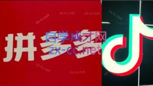 老陶电商·拼多多+抖音小店无货源开店(更新8月)-七七项目网