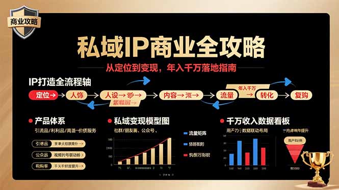 私域IP商业全攻略，从定位到变现，年入千万落地指南-七七项目网