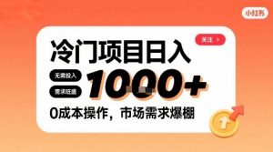在小红书上发现个冷门路子，需求不小，零成本操作，每天能有1k进账-七七项目网