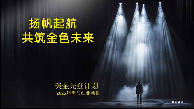 美金对冲创业项目，日收益1000-3000，小众暴力项目稳定运行8年-七七项目网