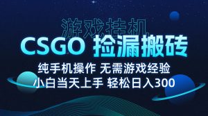 8月最新游戏搬砖,CSGO纯挂机,不需要玩游戏,实现真挂机,月入1W+-七七项目网