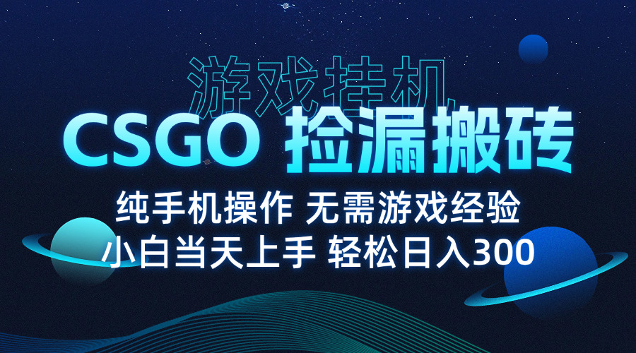 8月最新游戏搬砖，CSGO纯挂机，不需要玩游戏，实现真挂机，月入1W+-七七项目网