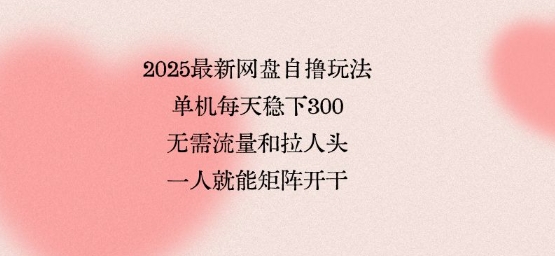 2025最新网盘自撸玩法，单机每天稳下3张，无需流量和拉人头，一个人就可轻松矩阵，全网独一份【揭秘】-七七项目网
