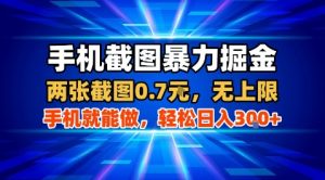 手机截图暴力掘金，两张截图0.7米，一部手机就能做，轻松日入3张+【揭秘】-七七项目网