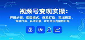 视频号变现实操,含开通步骤、变现模式、爆款打造、私域积累、IP打造及流量提升等-七七项目网