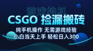 8月最新游戏搬砖,CSGO纯挂G,不需要玩游戏,实现真挂G,月入1W+【揭秘】-七七项目网