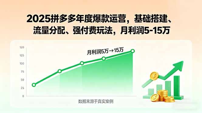 2025拼多多年度爆款运营，基础搭建、流量分配、强付费玩法，月利润5-15万-七七项目网