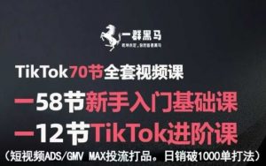 TikTok全套视频课,新手入门+进阶课,短视频ADS-GMV MAX投流打品,日销破1000单打法-七七项目网