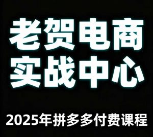 老贺电商2025年拼多多付费课程，用通俗易懂的方法告诉你多多怎么玩-七七项目网