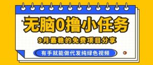 0学费0风险，2025风口项目，无脑免费撸，代发纯绿色视频，一部手机人人可做【揭秘】-七七项目网