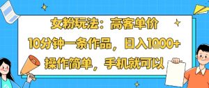 女粉玩法：高客单价，10分钟一条作品，日入1k+操作简单，手机就可以-七七项目网
