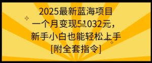 2025最新蓝海项目一个月变现1w+新手小白也能轻松上手【附全套指令】-七七项目网
