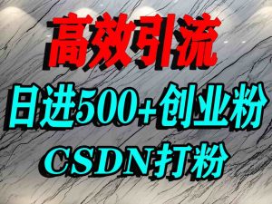 怎么打创业粉?CSDN又一个你不知道的打粉引流神秘平台,单人日引500+精准流量-七七项目网
