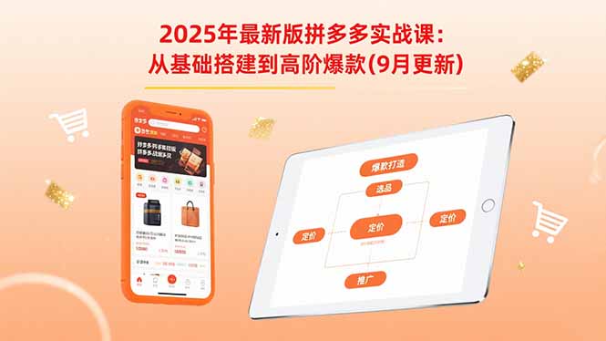 2025年最新版拼多多实战课：从基础搭建到高阶爆款(9月更新-七七项目网