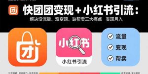 快团团变现+小红书引流：解决没流量、难变现、缺帮卖三大痛点 实现月入3w+-七七项目网