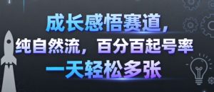 成长感悟赛道，纯自然流，百分百起号率 一天轻松多张-七七项目网