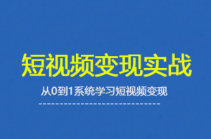 杨磊老师·2025短视频变现实战课-七七项目网
