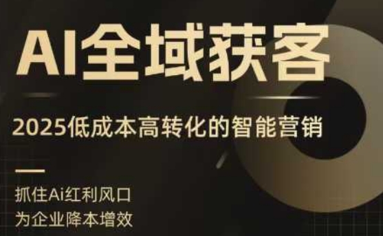 AI全域获客实训营，2025低成本高转化的智能营销，精准找客，高效营销-七七项目网