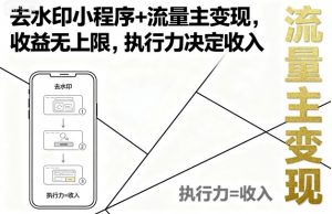去水印小程序+流量主变现,收益无上限,执行力决定收入-七七项目网