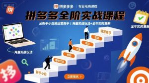 拼多多全阶实战课程，从新手小白到运营高手，海量实战玩法+全年实时更新【2025年9月更新】-七七项目网