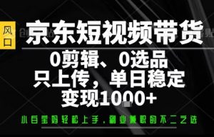 你出账号，我来运营，保底日入1k+，开启躺賺模式【揭秘】-七七项目网
