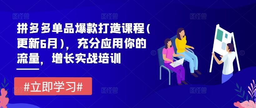 拼多多单品爆款打造课程(更新6月)，充分应用你的流量，增长实战培训-七七项目网